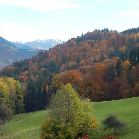 Les Carres *